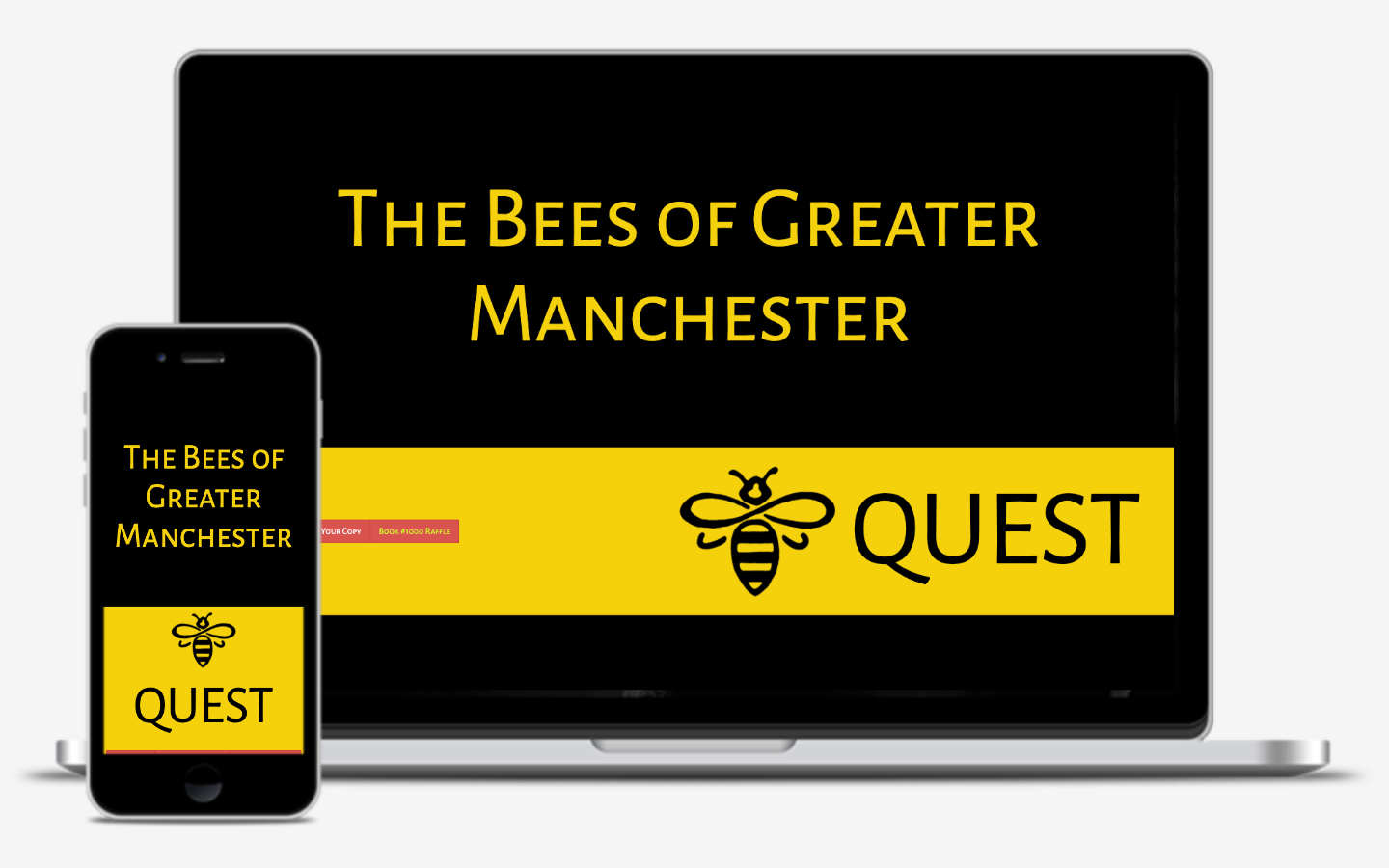 manchester website developer portfolio - beequest