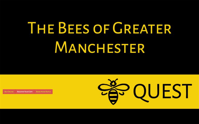 manchester website developer portfolio - beequest2