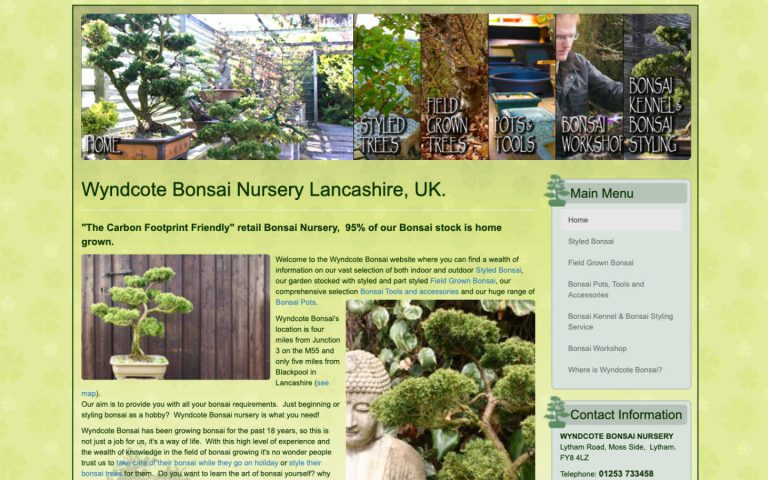 manchester website developer portfolio - wyndcote bonsai after