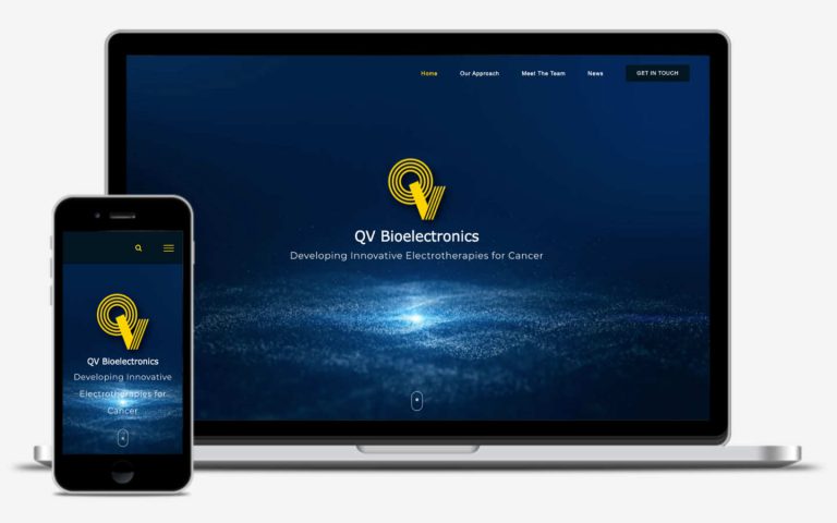 qvbioelectronics by philip butler freelance website developer manchester